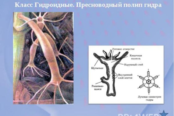 Войти даркнет