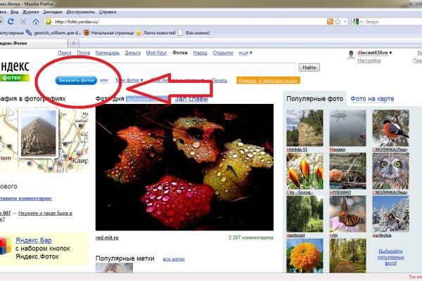 Кракен оригинальные ссылка в тор