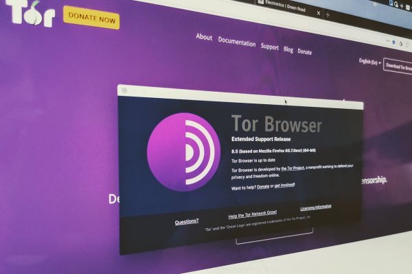 Kraken tor link