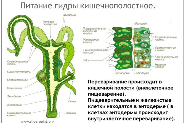 Кракен маркетплейс что там