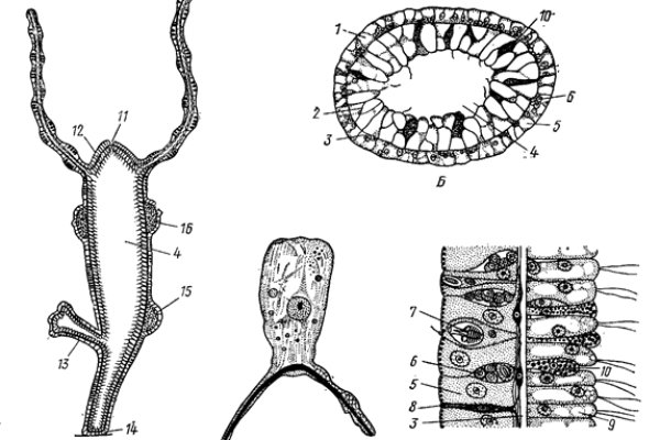 Kraken зеркала маркетплейс