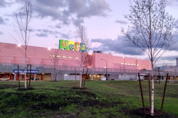 Кракен тг ссылка