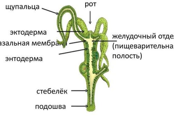 Вход на кракен зеркало