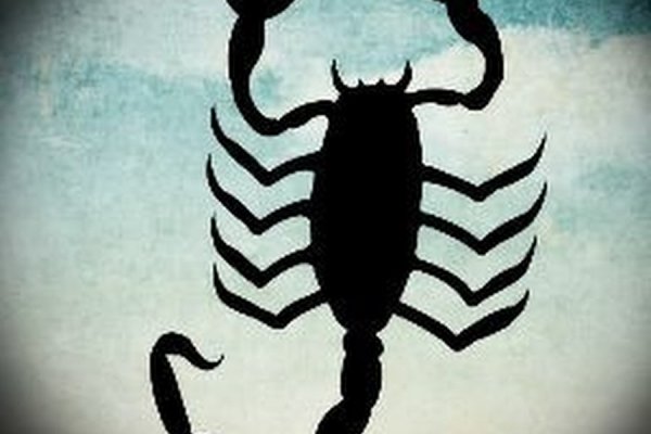Kraken 18at