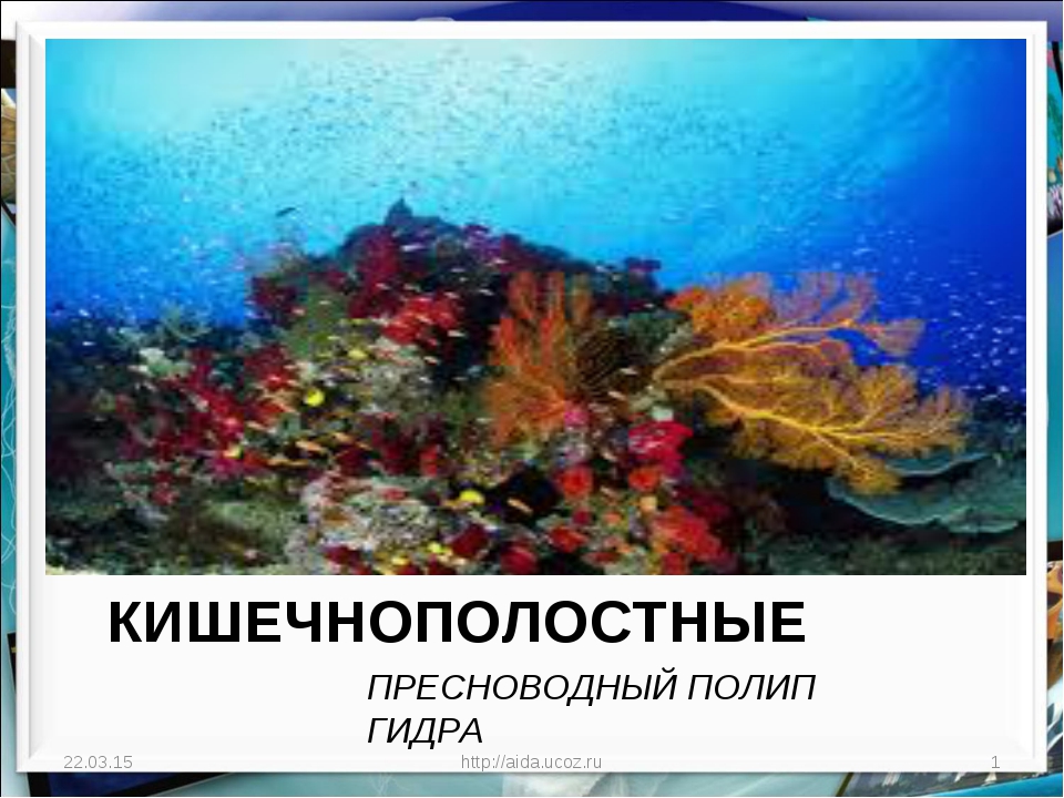 Кракен маркетплейс про