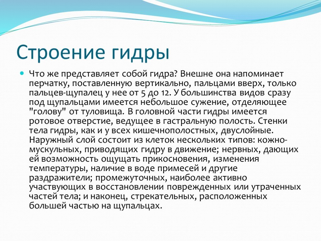 Кракен сайт krk store com